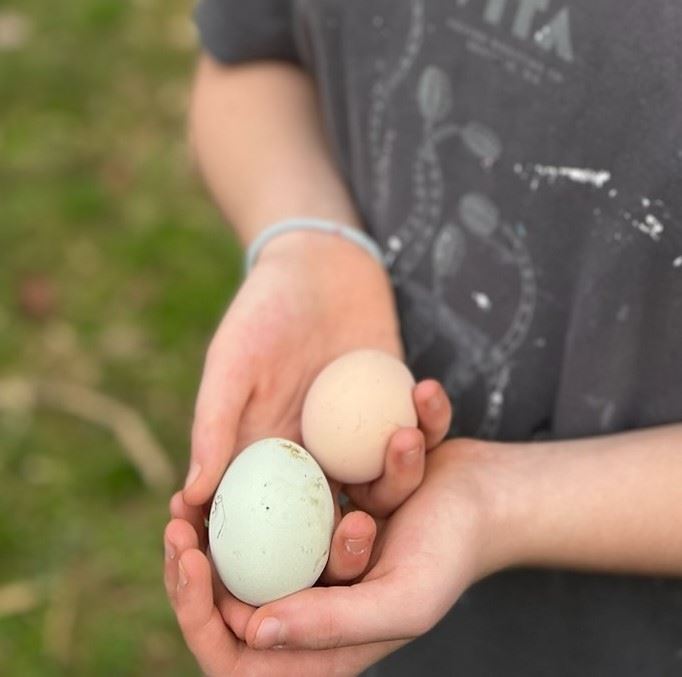 a child is holding two precious eggs